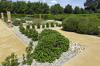 L'arboretum départemental de Beauregard à Jonquières