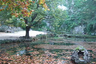Agrandir l'image, .JPG 142 Ko (fenêtre modale)