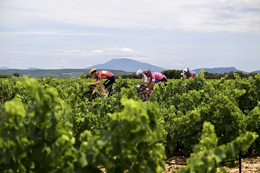 Vue du Tour de France avec cyclistes et spectateurs - Agrandir l'image (fenêtre modale)