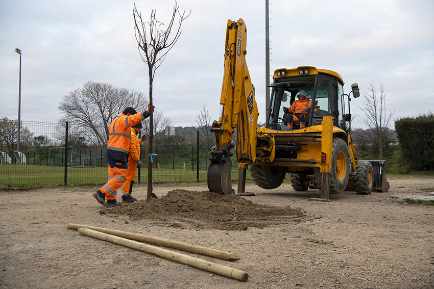 Deux agents en train de creuser un trou pour planter des arbres - Agrandir l'image (fenêtre modale)