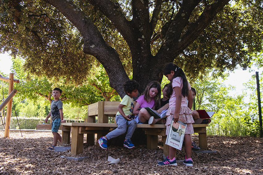 Des personnes sous un arbre assisent sur un banc