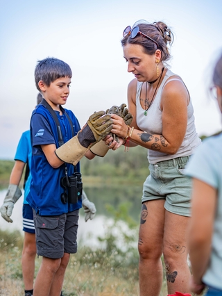 Deux petits ducs, recueillis par le centre de sauvegarde de la faune sauvage de Buoux, ont été relâchés. © Cyril Cortez - Agrandir l'image (fenêtre modale)