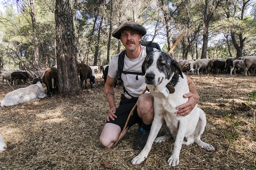 Nicolas Sotil, berger dans le Luberon - Agrandir l'image (fenêtre modale)