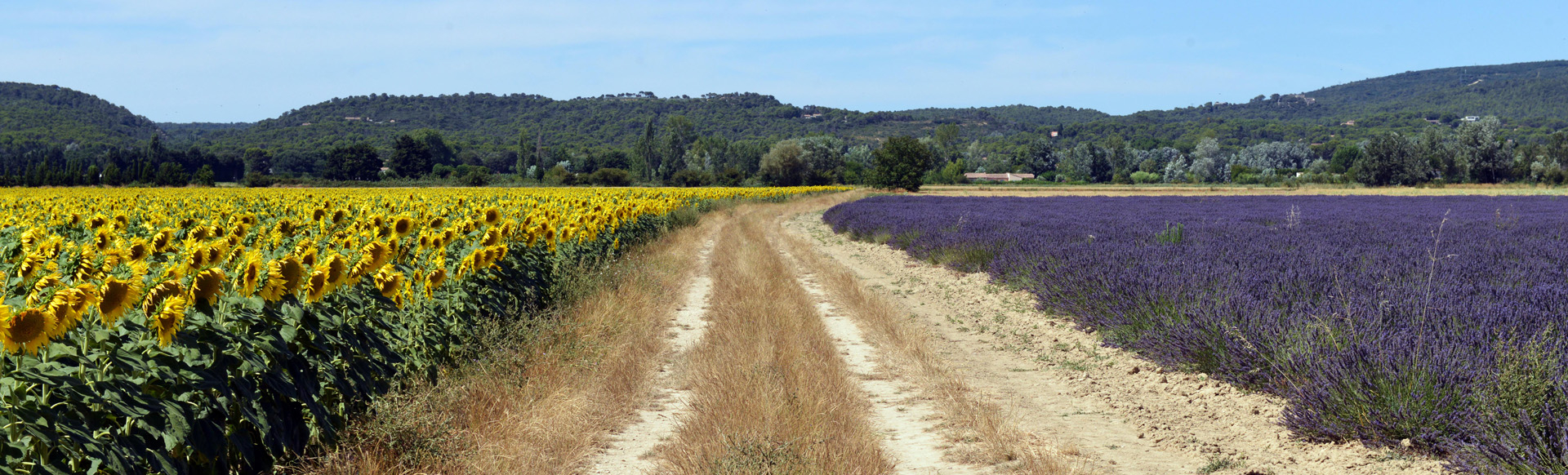 Accueil du MOOC AgroEcologie - Fruits confits