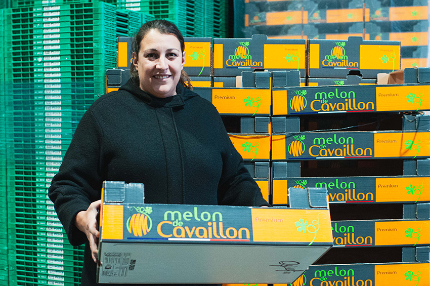 Léa Gérin, présidente du syndicat des maîtres melonniers de Cavaillon. - Agrandir l'image (fenêtre modale)