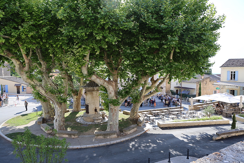 Une place ombragée - Agrandir l'image (fenêtre modale)