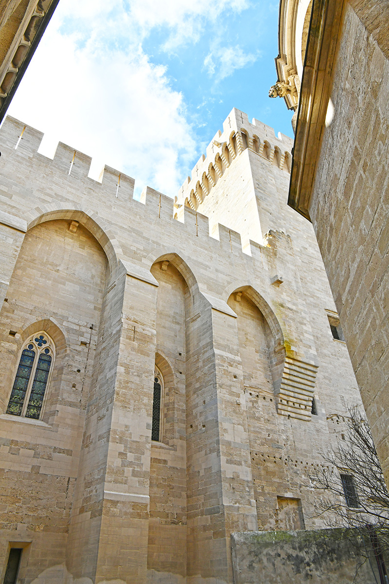 Vue du Palais des Papes - Agrandir l'image (fenêtre modale)