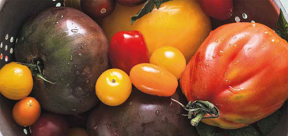 Tomates Page de couverture - Agrandir l'image (fenêtre modale)