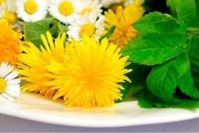 Des fleurs jaunes dans une assiette - Agrandir l'image, fenêtre modale