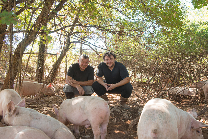 La famille Aubert et les cochons - Agrandir l'image (fenêtre modale)