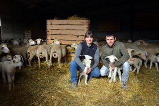 Un couple de jeunes agriculteurs et leurs moutons - Agrandir l'image, .JPG 640 Ko (fenêtre modale)
